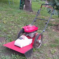 Tosaerba Ibrido 6Hp
