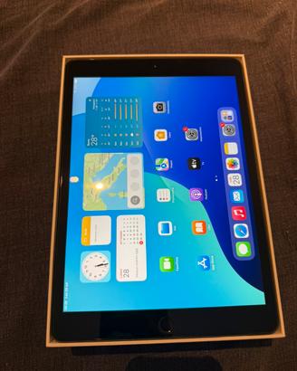 Apple ipad