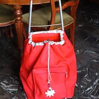 carrello per la spesa 