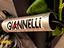 Immagine 6