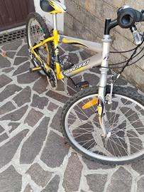 Bicicletta ragazzo da 24"