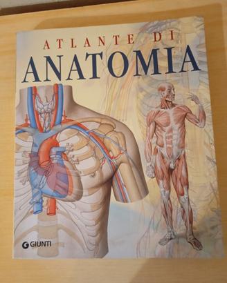 atlante di anatomia