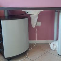 Tavolo Professionale per Manicure e Estetica