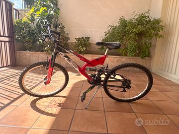 Bicicletta