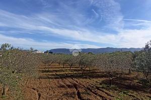 TER. AGRICOLO A QUARTU SANT'ELENA