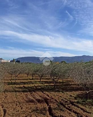 TER. AGRICOLO A QUARTU SANT'ELENA
