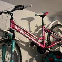 Bicicletta Mtb 24