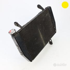 Radiatore acqua DUCATI Multistrada 1200