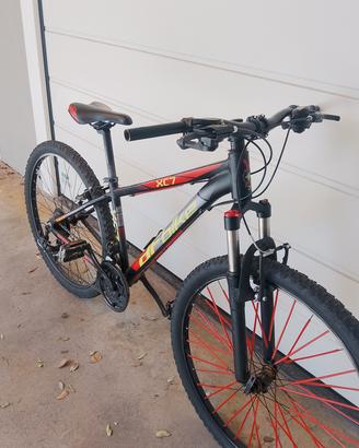 bicicletta
