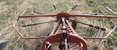 ranghinatore Gherardi 280