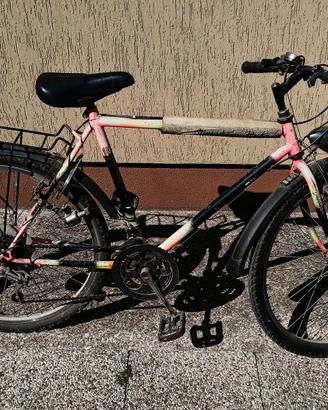 Bicicletta 