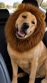 Cuffia da Leone