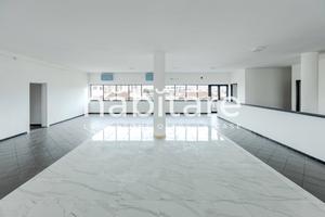 Ampio Locale con Appartamento e Ascensore