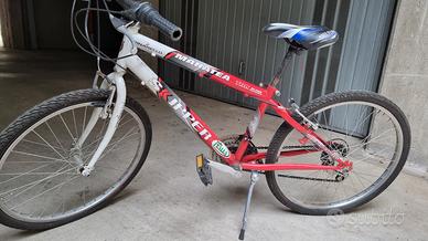 bicicletta bambino