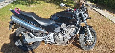 Honda Hornet 600 anno 2004