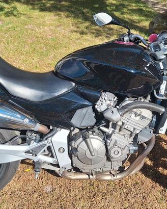 Honda Hornet 600 anno 2004