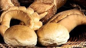 Livorno panificio zona piazza cavallotti