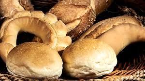 Livorno panificio zona piazza cavallotti