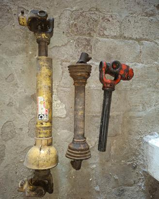 Cardani