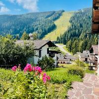 Appartamento trentino