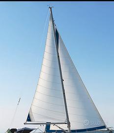 Vela genoa