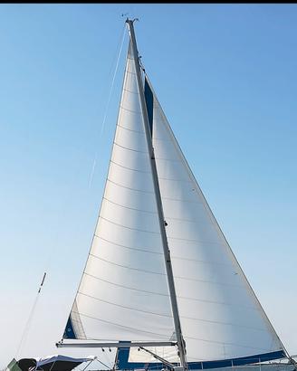 Vela genoa