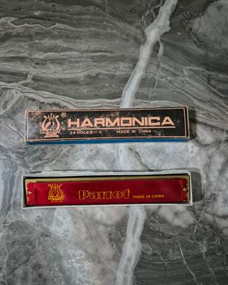 ARMONICA PARROT A 24 FORI