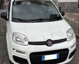 FIAT Panda 3ª serie - 2017