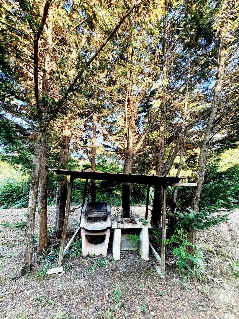 Terreno 4400 Mq con pozzo -Poggibonsi calcinaia - Vista 2