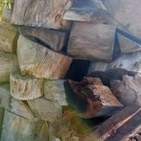 Stock di legna di eucalipto