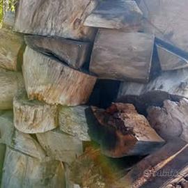 Stock di legna di eucalipto