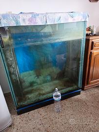 Acquario 320 litri 