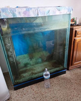 Acquario 320 litri 