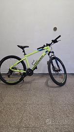 mountain bike