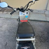 Honda Zoomer - 2010