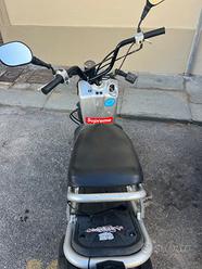 Honda Zoomer usata in vendita