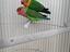 Immagine 1
