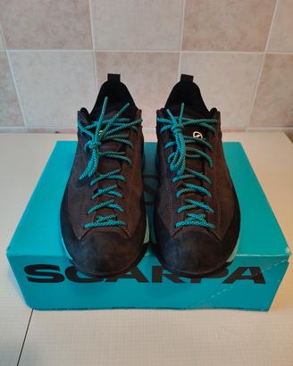 Scarpa Avvicinamento Mescalito GTX 