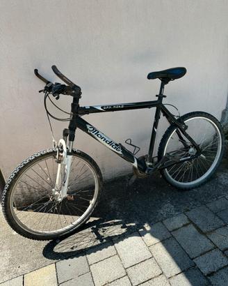 Bici mountain bike