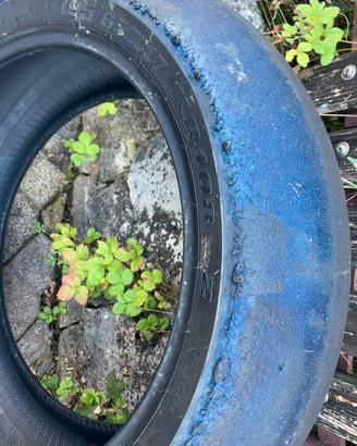 Gomme pista Dunlop kr