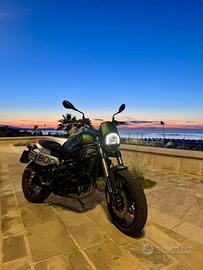 Benelli Leoncino 800 Trail