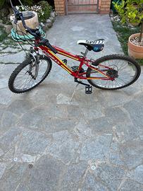 Bicicletta Cobran rossa