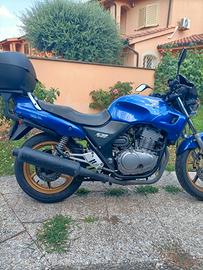 Honda CB 500 del 2001