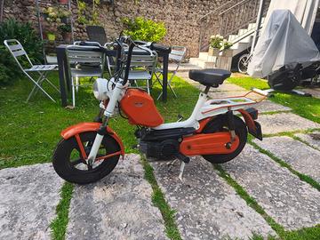 Motorino Testi 50 cc