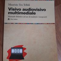 Visivo audiovisivo multimediale 