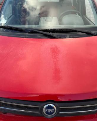 COFANO PER FIAT PANDA 169 ANNO 2006