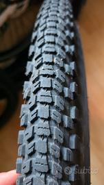 Coppia Bontrager LT4 Expert 29 x 2.40