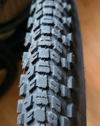 Coppia Bontrager LT4 Expert 29 x 2.40