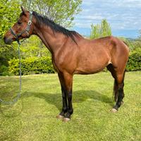 Stupendo angolo arabo da passeggiata