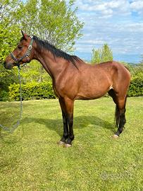 Stupendo angolo arabo da passeggiata